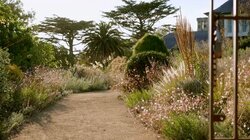 Episode 13 - Autumn: Iconic Foliage Garden & Begonias 101
