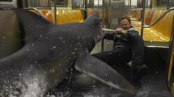 Sharknado 2: The Second One