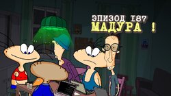 187. Мадура!