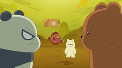 We Baby Bears S02E21