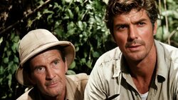 The Archeologist