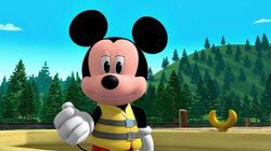 Mickey and Pluto Go Camping