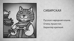 06 Сибирская кошка