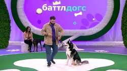 Выпуск 2