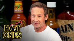 David Duchovny Lives the Technicolor Universe While Eating Spicy Wings