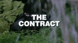 The Contract