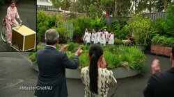 Immunity Challenge: Ice Cream Flavours