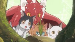 The Cat and the Dragon
