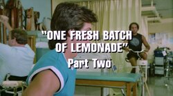 One Fresh Batch of Lemonade (2)