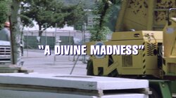 A Divine Madness