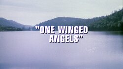 One Winged Angels
