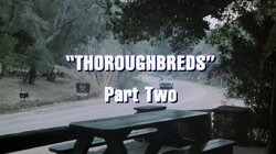 Thoroughbreds (2)