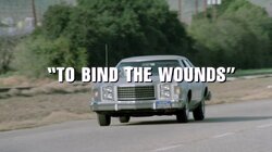 To Bind the Wounds