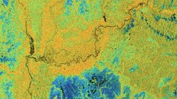 Rainforests: Can Tech Help to Protect Trees?