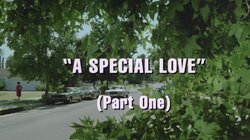 A Special Love (1)