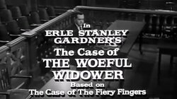 Erle Stanley Gardner's The Case of the Woeful Widower