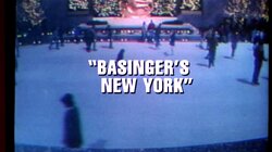 Basinger's New York