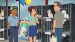 Care of the Dog