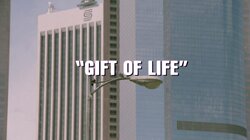 Gift of Life