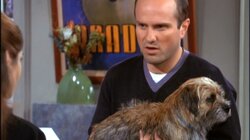Dog Day Afternoon