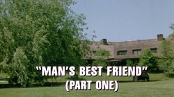 Man's Best Friend (1)