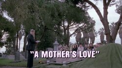A Mother's Love