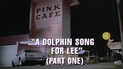 A Dolphin Song For Lee (1)