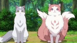 The Return of the Mother Cat