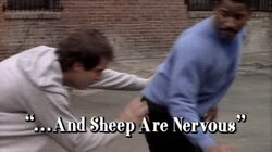 ...And Sheep Are Nervous