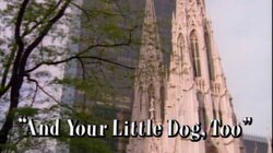 And Your Little Dog, Too