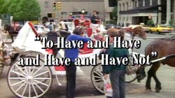 To Have and Have and Have and Have Not