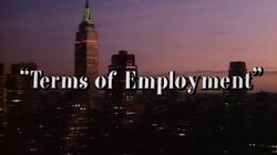 Terms of Employment