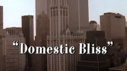 Domestic Bliss