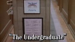 The Undergraduate