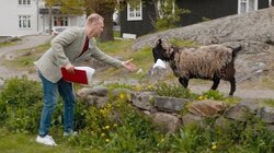 Engelsk og dyreliv