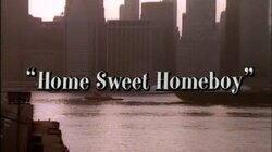Home Sweet Homeboy