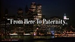 From Here to Paternity