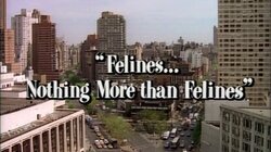 Felines... Nothing More Than Felines