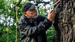 Загублені душі