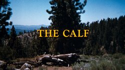 The Calf