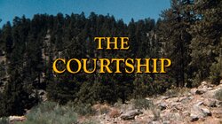 The Courtship