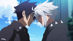 Black or White