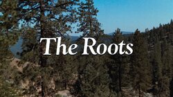 The Roots