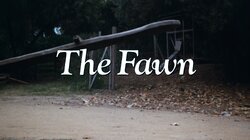 The Fawn