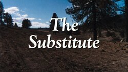 The Substitute