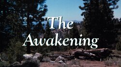 The Awakening