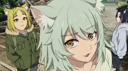 Meows in Kyoto