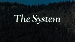 The System