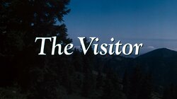The Visitor