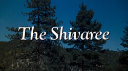 The Shivaree